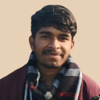 we updates review online programming course review